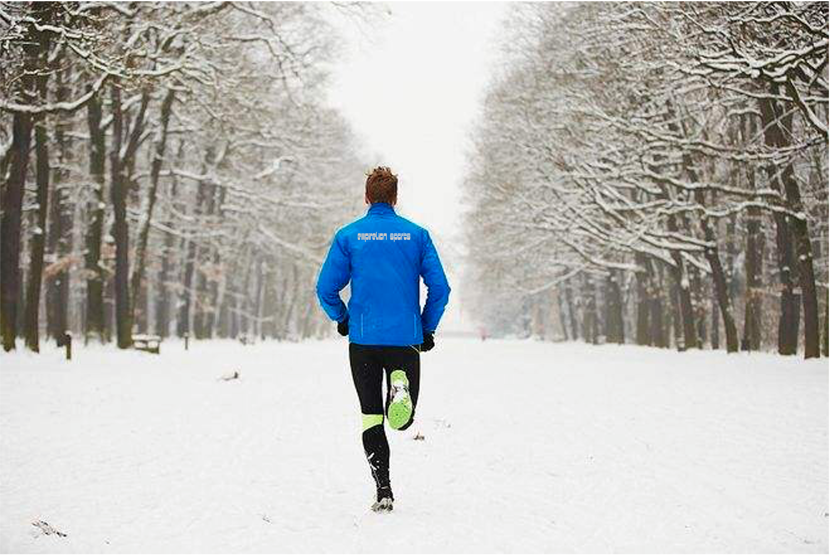 Introduction à une veste d'hiver